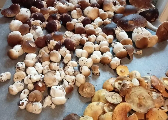 Lägenhet Wczasy Sloneczny Z Sauna *